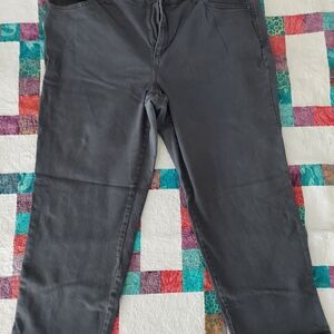 Gloria Vanderbilt Amanda Grey pants 20W SHORT